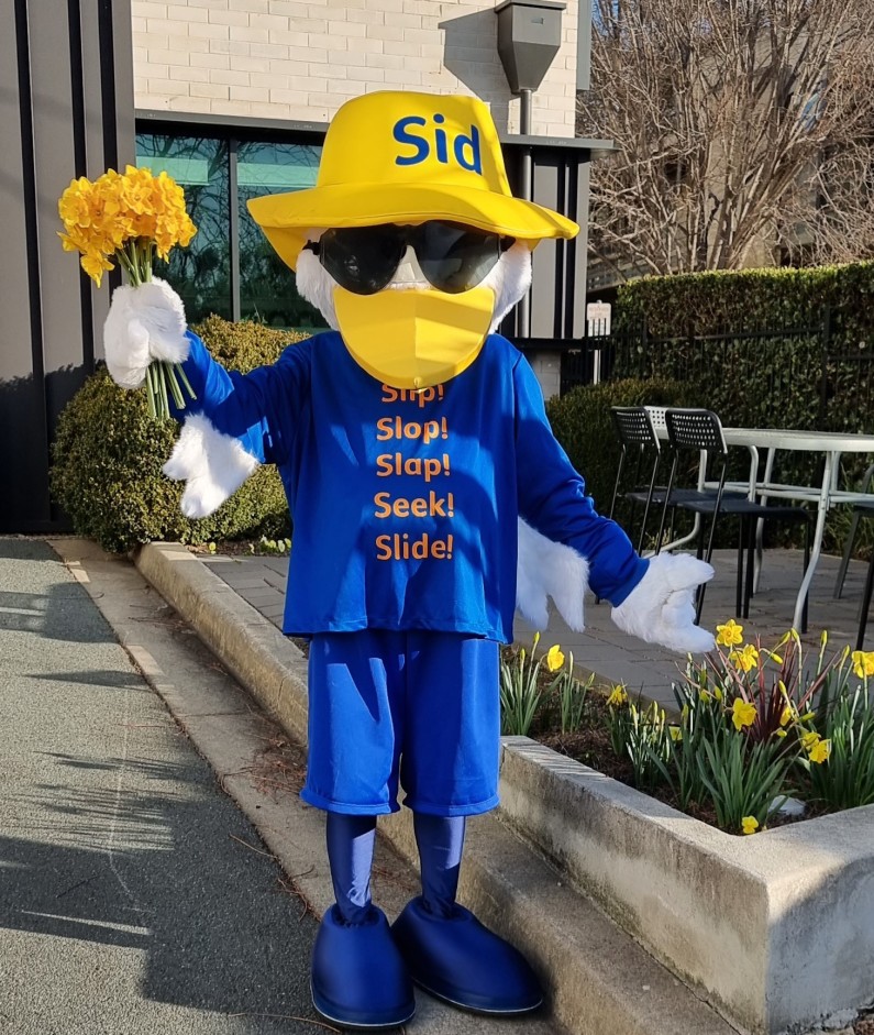 Canberra turns yellow as daffodils bloom for cancer research