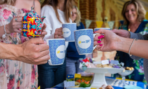 Australias Biggest Morning Tea mugs