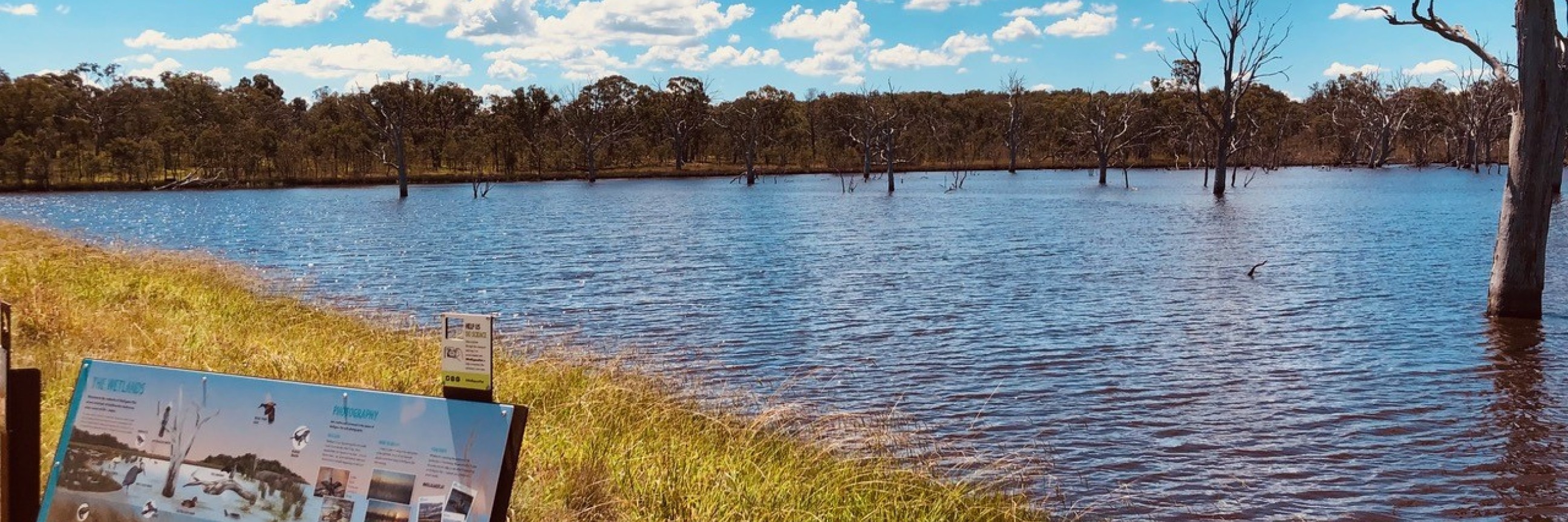 Jerra Wetlands